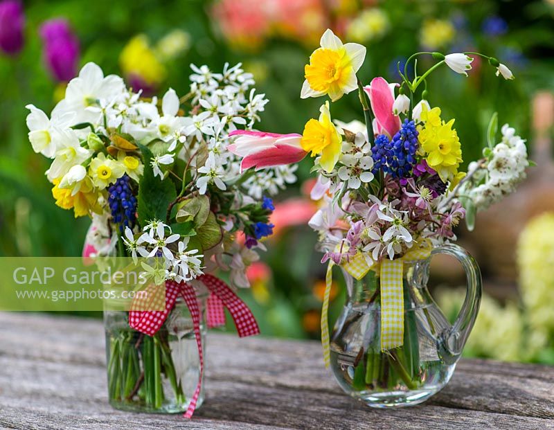 Freshly picked garden flowers to make posies for Mothers Day. Pink Clematis armandii 'Apple Blossom', white amelanchier, daffodils, grape hyacinths, snowflakes, hellebores, lungwort, pear blossom and pink tulips.