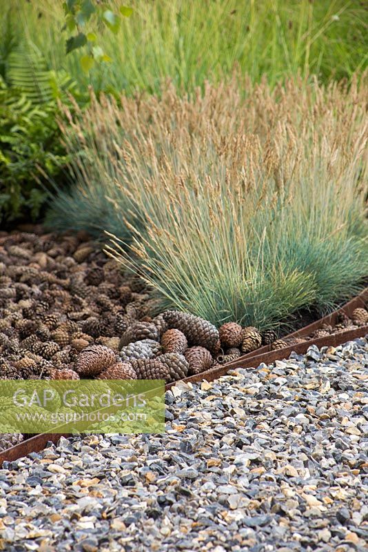 Border containing Festuca glauca 'Blaufuchs' and a mulch of pine cones, beside a path of knapped flint. Garden: The Flintknapper's Garden - A Story of Thetford. Designer: Luke Heydon. Sponsor: Thetford businesses and residents. RHS Hampton Court Flower Show, July 2014