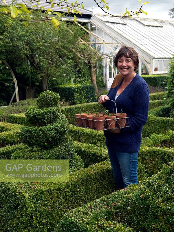 Louise Elliot, head gardener at Bignor Park, standing in the parterre with a basket of semi ripe box cuttings taken in autumn.