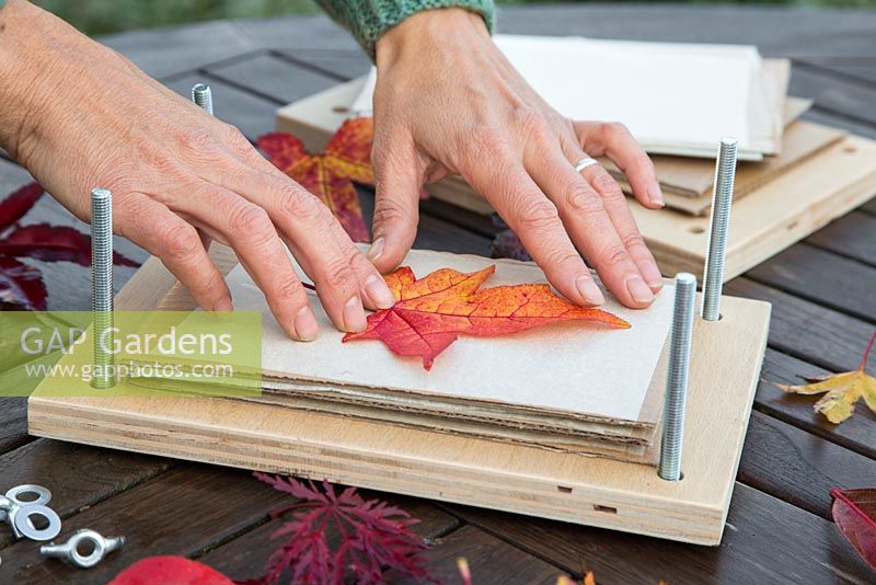 Carefully placing a leaf central to the craft paper. 