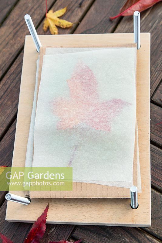 Once the leaf is in position, carefully add a layer of craft paper on top.