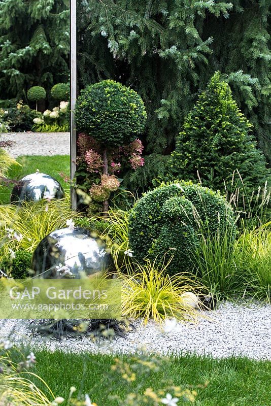 Mirror and modern sphere stainless steel water feature among Carex oshimensis 'Everillo', Topiary Buxus sempervirens - Peacock and Taxus baccata, Carex oshimensis 'Everillo', Sesleria autumnalis