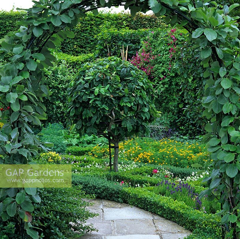 Seen through leafy arch, kitchen garden with box-edged parterre containing small medlar tree surrounded by herbs, roses, violas and vegetables.