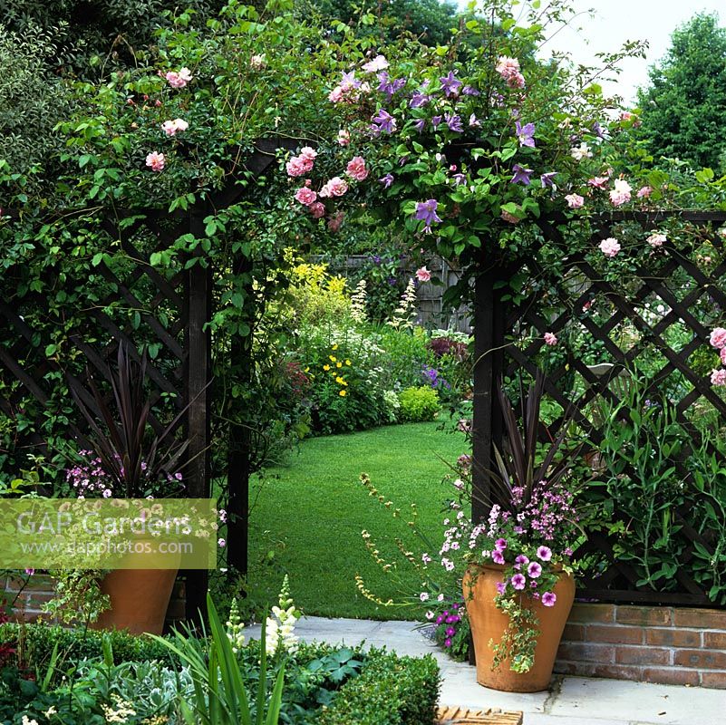 Wooden arch with pink Rosa 'Francois Juranville' and Clematis 'Blue Belle'. View of sunken courtyard. Pots of purple cordyline, petunia, nemesia and viola.