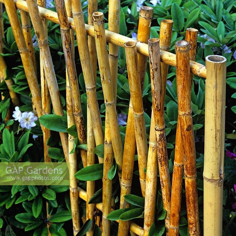 Fence created from sturdy bamboo poles.