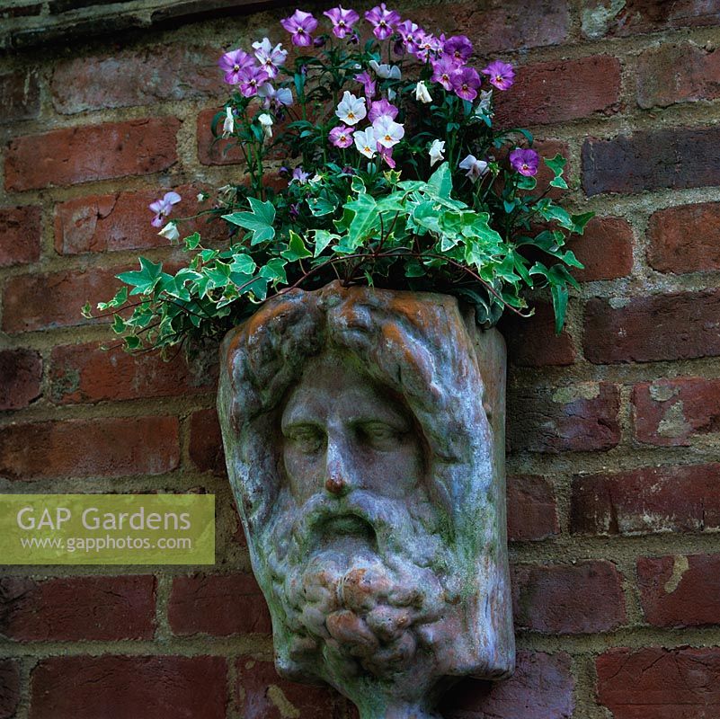 Suspended from old brick wall, terracotta head wall pot of violas.