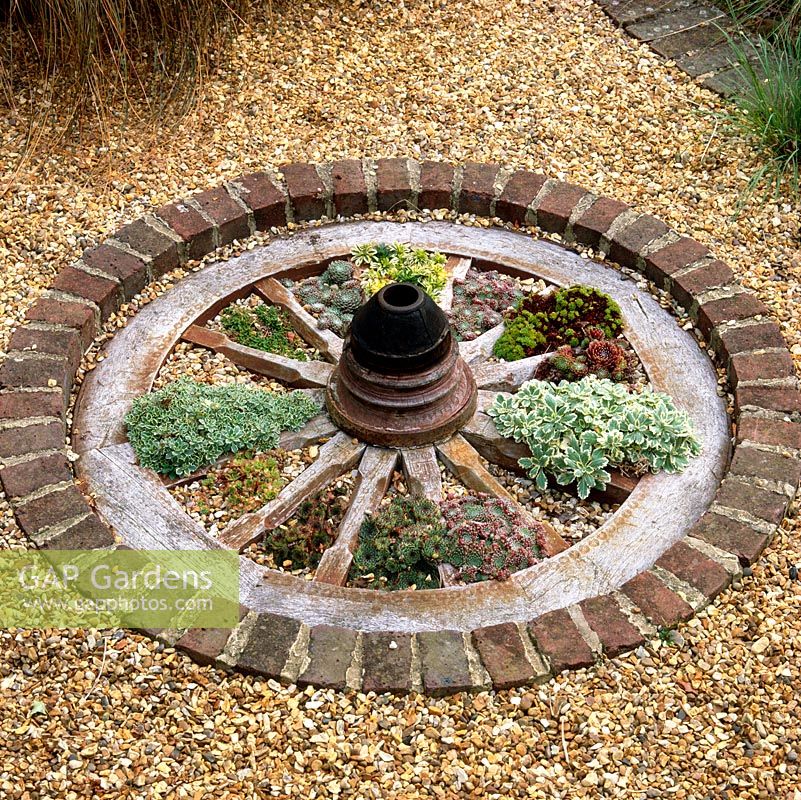 Set into gravel and edged in brick, a cartwheel with 14 segments filled with spring bulbs, succulents and alpine plants.