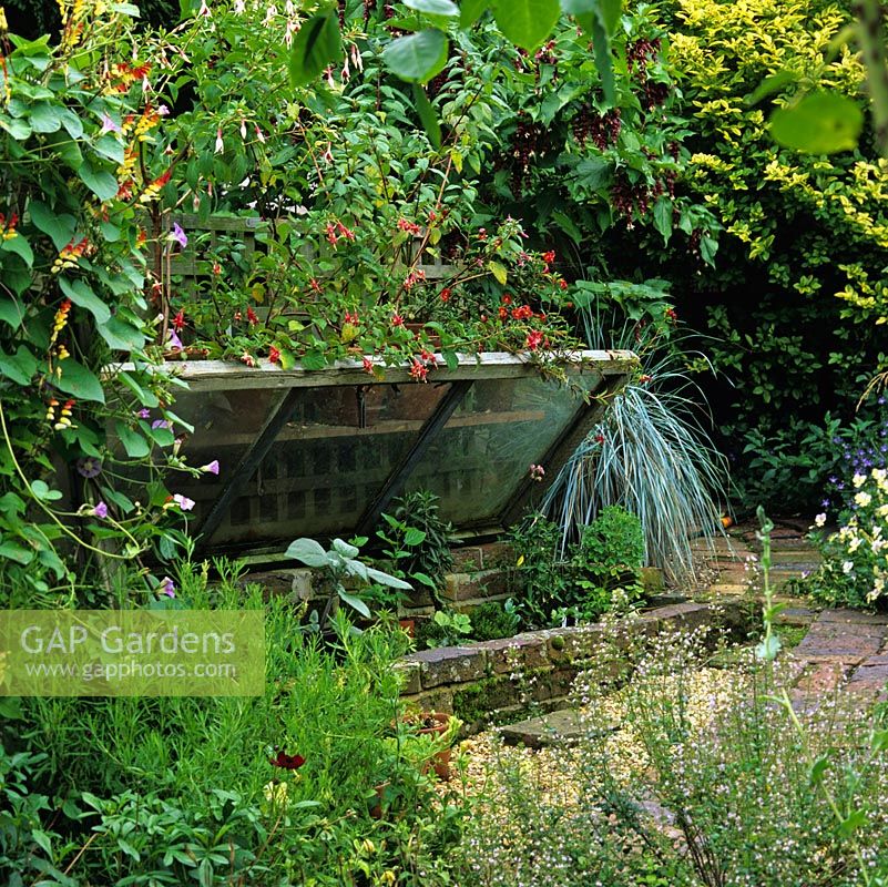 Old hand built wooden cold frame tucked way in warm, sunny, secluded corner is ideal for germinating and protecting young seedlings and tender varieties.