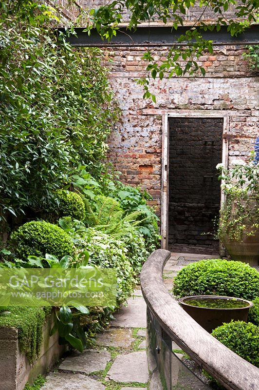 A view down the garden path.  Plants include: Box - Buxus sempervirens, Bergenia and ferns.