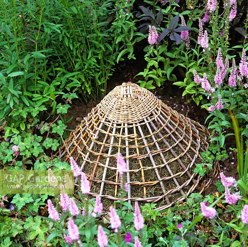 Woven willow pyramid encloses grass clippings, creating a sanctuary for insects in shade of herbaceous plants.