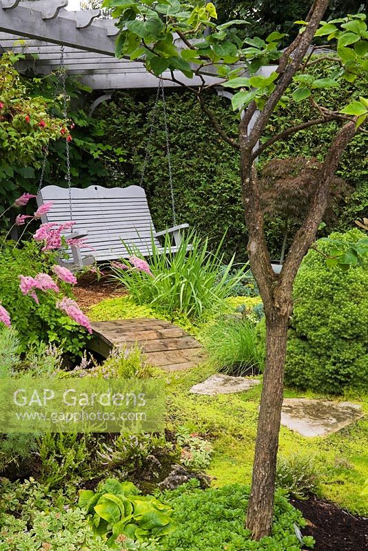 Footbridge and gray painted wooden swing bench underneath a pergola beyond a Brugmansia 'Snowbank' - Angels' trumpets tree underplanted with Sedum - Stonecrops, Primula polyanthus - Primrose and pink Astilbe flowers in backyard garden in summer, Jardin Secret garden, Quebec, Canada