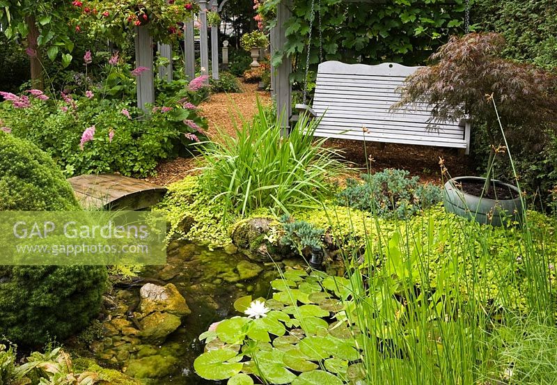 Gray wooden swing bench next to a pond with a wooden footbridge, Typha latifolia - Common Cattails, Nymphaea - Water Lily and Acer palmatum - Japanese Maple tree in backyard garden in summer, Jardin Secret garden, Quebec, Canada