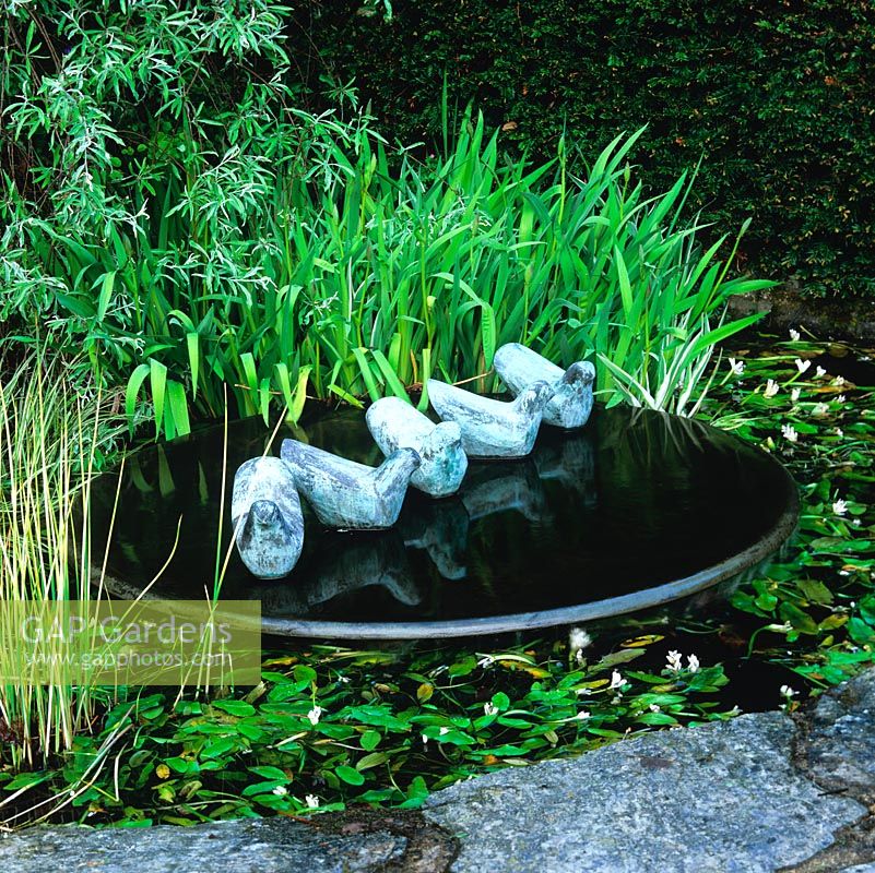 Dove Bowl by Bridget McCrum sits at heart of small pool with iris, rushes and white-flowered Cape pondweed.