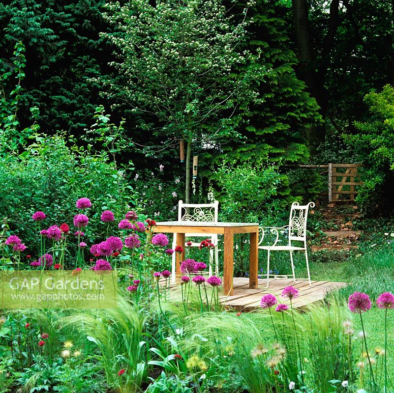 Small wooden deck with table and chairs set beside path leading to gate opening into woodland, glimpsed through Allium 'Purple Sensation'