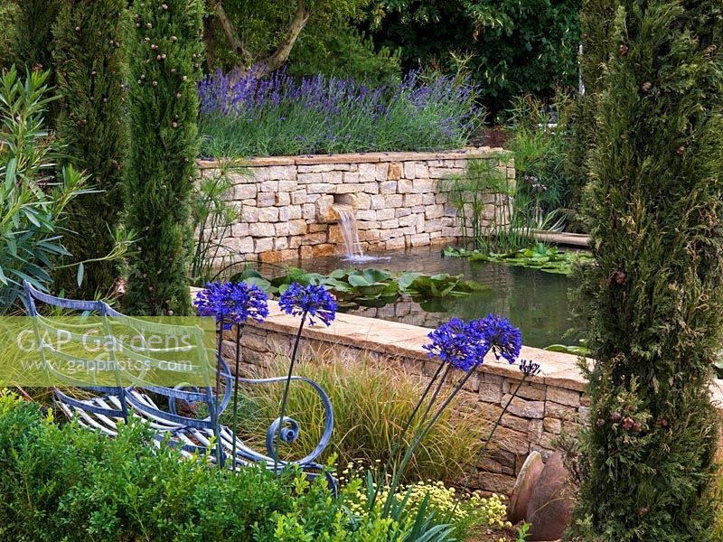 Raised pool, clad in dry stone walls, is home to water lilies. Mediterranean style garden with lavender, agapanthus, cypress, olive, oleander and santolina. Bench.