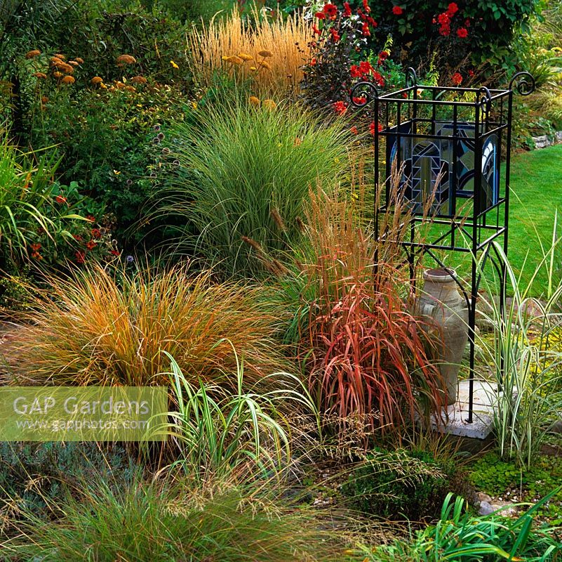 Stained glass obelisk by red-leaved Miscanthus sinensis. On left, clump of rusty Stipa arundinacea. Pennisetum alopecuroides. and Panicum virgatum Warrior.