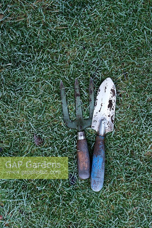 Frozen garden trowel and fork on a lawn in autumn - November - Oxfordshire