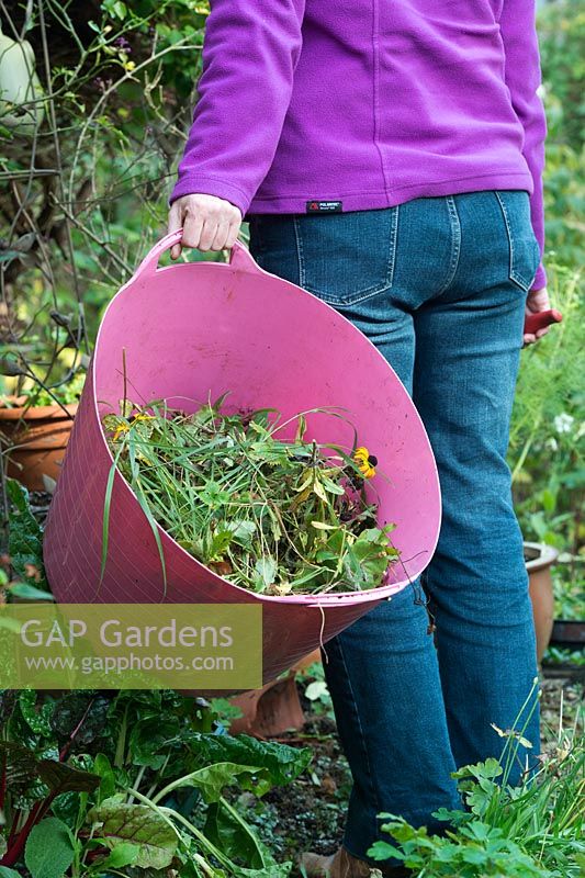 Gardener holding a trug full of garden waste in the autumn - October - Oxfordshire