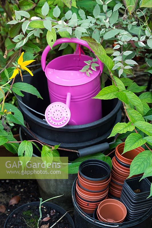 Pink watering can and plastic pots in a garden - October - Oxfordshire