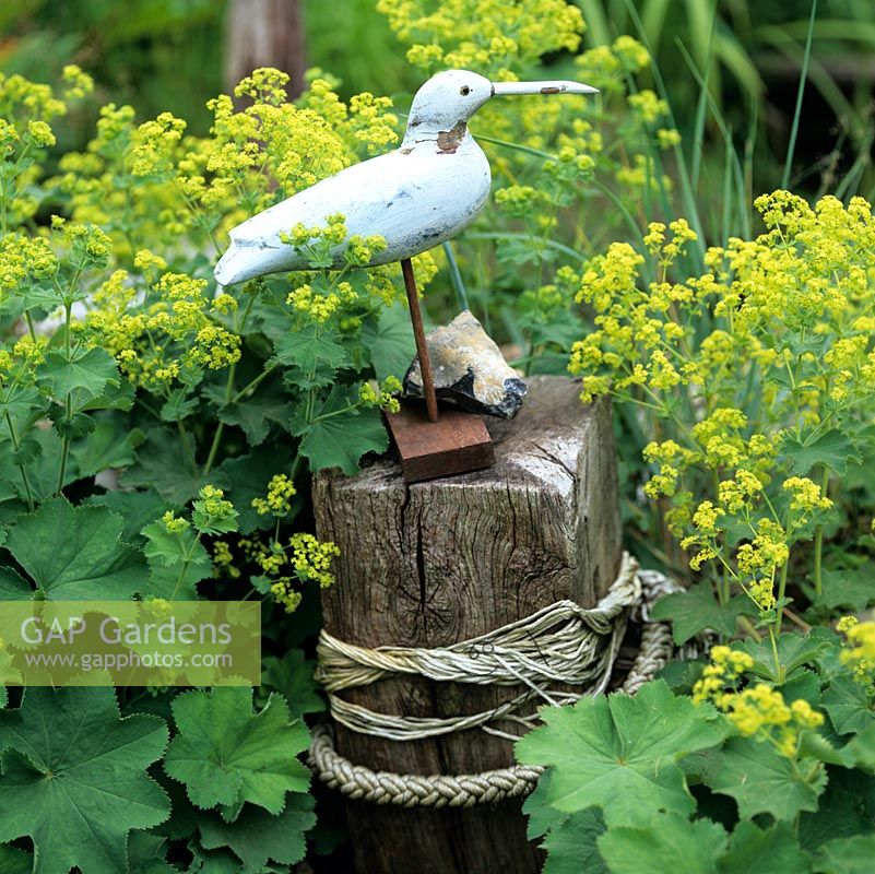 On old timber post sits model of sea bird, surrounded in Alchemilla mollis.