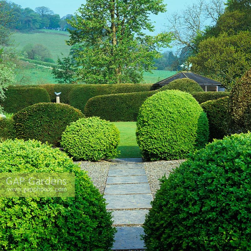 Domed box balls punctuate Japanese style, gravelled terrace. Beyond, summer-house, curving yew hedges, Bridget McCrums Cycladic Dove and Devon valley.