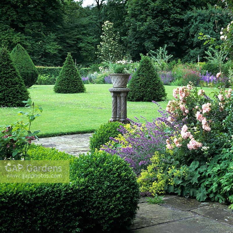 Yew topiary cones march across the lawn, seen through box hedging, catmint, alchemilla and pink Rosa Felicia.