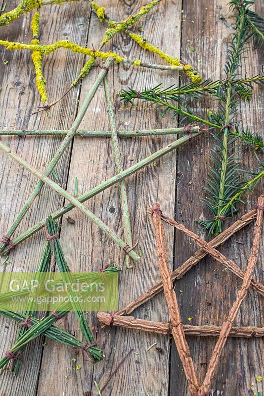 A variety of festive stars made from various tree and shrub cuttings. Yew, Spindle, Broom and Prunus with Lichen. 