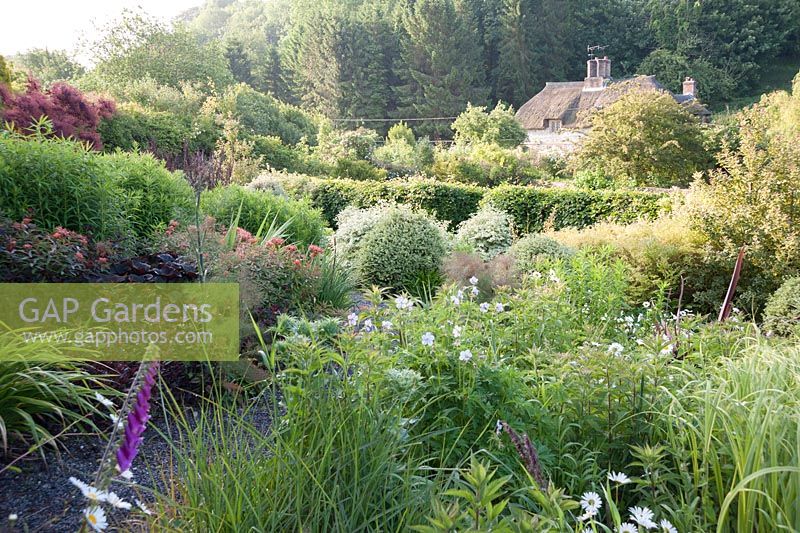 View across grasses, hardy geraniums and euphorbias to a thatched cottage outside the garden, characteristic of this part of Dorset. Littlebredy Walled Gardens, Littlebredy, Dorset