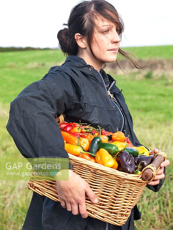 Josie Alice Kirby carries a basket of mixed chilli peppers.