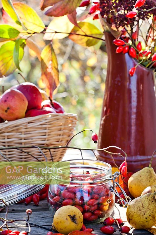 Autumn display of fruits and rosehips on the table.