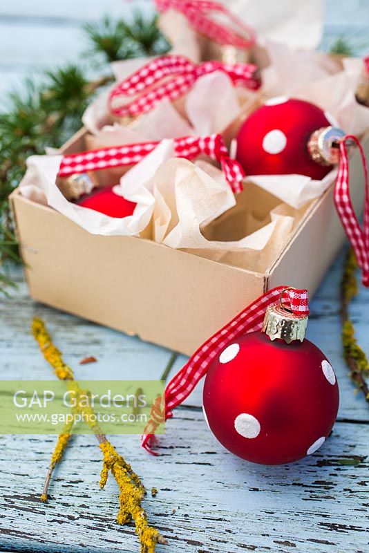 Red polkadot baubles in cardboard packaging, with larch foliage