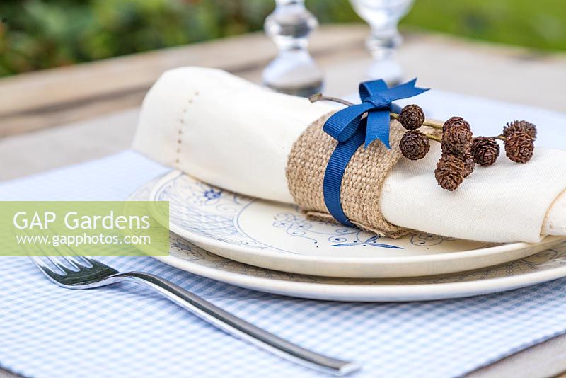 Blue and white place setting with Alder cones