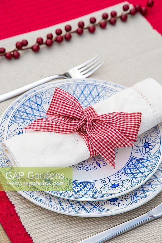 Red and blue place setting with red berry branch
