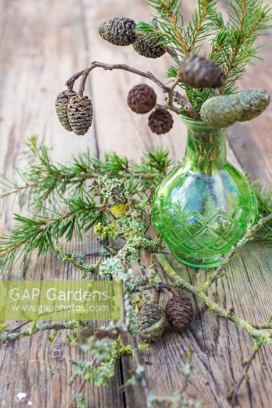 Display of Alder cones and Fir foliage in a green glass jar, accompanied with Larch foliage and Prunus with lichen