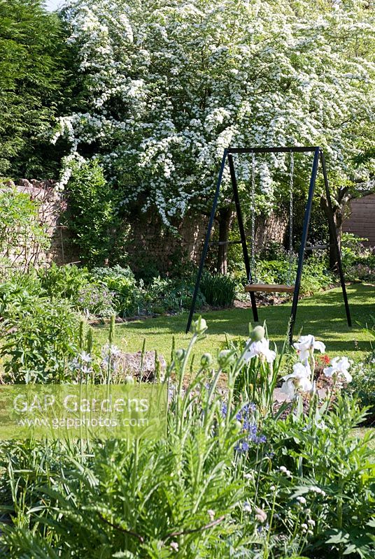 Cottage garden in early Summer with garden swing