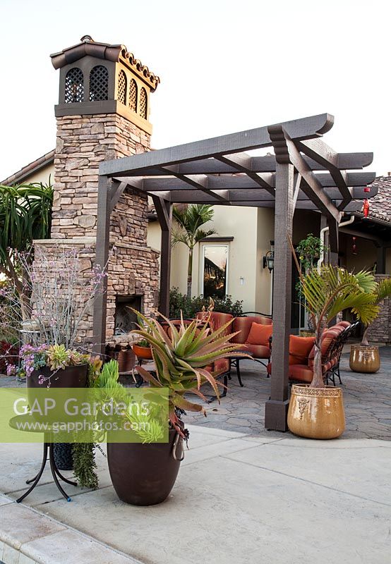Patio with pergola and containers. Center container: Aloe cameronii, Senecio mandraliscae, container on right: Archontophoenix 