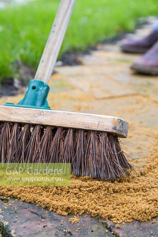 Using a broom gently brush and fill in the cracks between the bricks with coarse grit sand. 