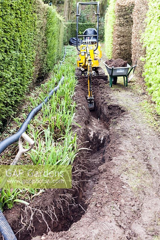 Excavating a drainage channel in the Beech walkVeddw House Garden, Monmouthshire, Wales. April 2014. 