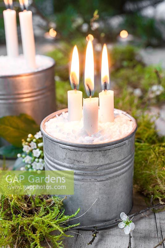 Candles mounted in metal cans containing salt, decorated with moss and Crataegus - Hawthorn blossom.