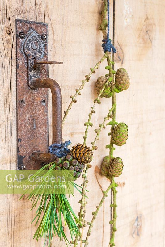 Hedera seed head, pine cone and foliage hanging on a rustic door handle