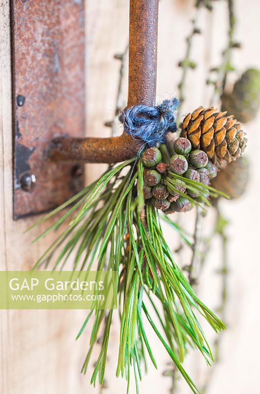 Hedera seed head, pine cone and foliage hanging on a rustic door handle