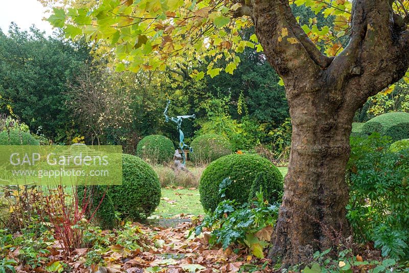 View of garden in autumn with ancient pollarded plane tree, box topiary, formal yew hedges, contemporary sculpture and Lutyens teak bench