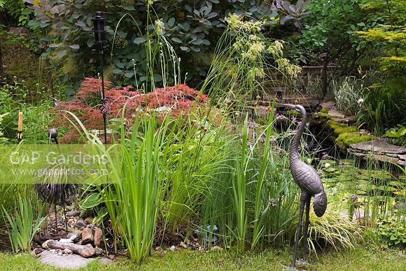 Metal ostrich and heron bird sculptures with Acer palmatum inabe-shidare - Japanese Red Maple tree next to pond with Iris 'Yellow Flag' in backyard garden in summer, Quebec, Canada