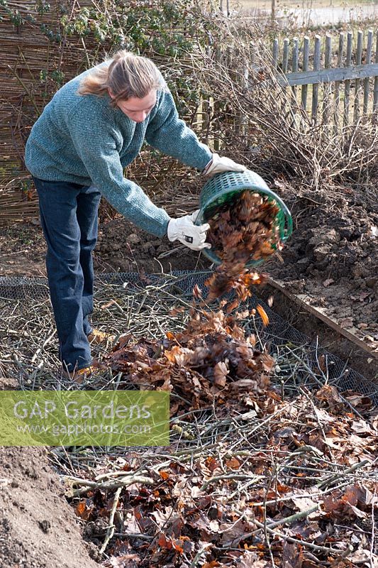 Man creating a raised bed by layering organic matter, in a vegetable garden. Adding a layer using pruned foliage from perennials 