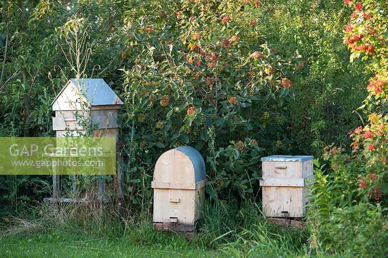 Home-made beehives in the garden