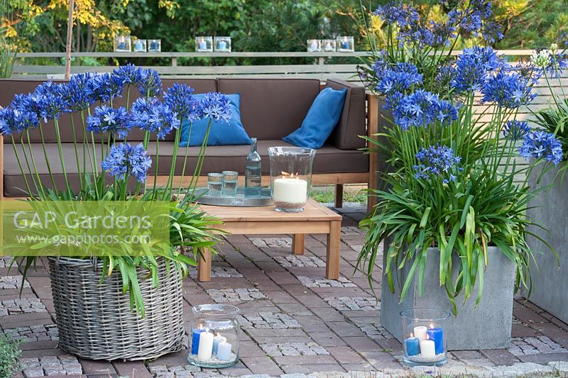 Terrace with sun shade in the late afternoon, containers of Agapanthus and Liatris spicata