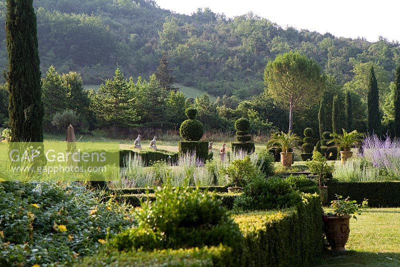 Looking towards group of topiary yew at Domaine de Chatelus de Vialar
