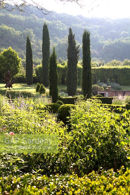 Long view of the garden at Domaine de Chatelus de Vialar.  Looking towards group of topiary yew. Peroskia in foreground.