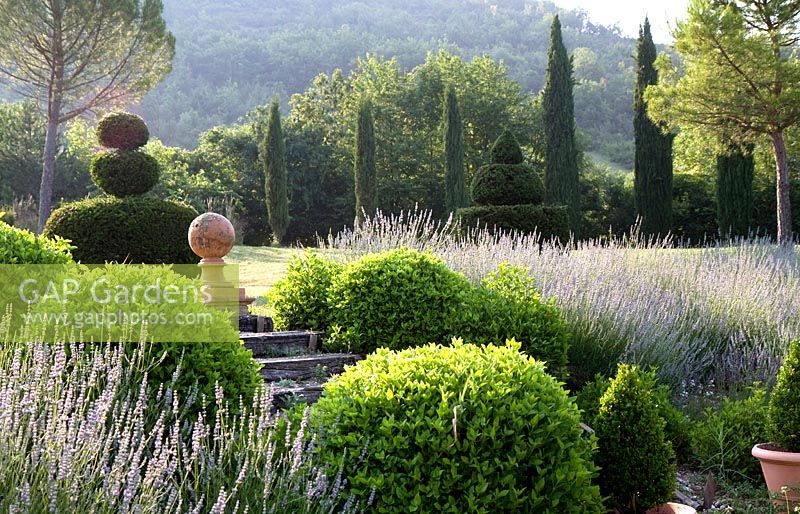 Spring time at Le Jardin de Chatelus de Vialar.  Long view of the garden with clipped box balls, line of Cupressus sempervirum Stricta, pencil pine trees and topiary yew.