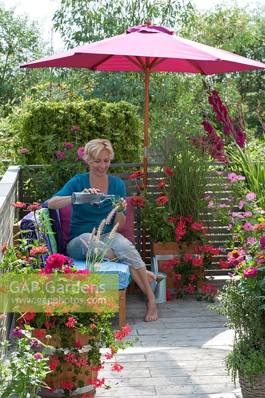 Woman relaxing in garden pouring a glass of water. Plants include Pelargonium, Zinnia, Gladiolus and Lavatera trimestris 